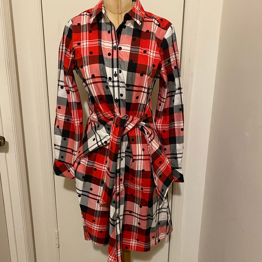 The Parisian Long Sleeve Shirt dress
